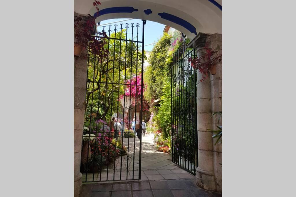 Apartamento San Pedro-Corredera Córdoba Eksteriør billede