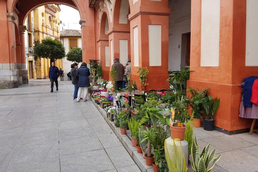 Apartamento San Pedro-Corredera Córdoba Eksteriør billede