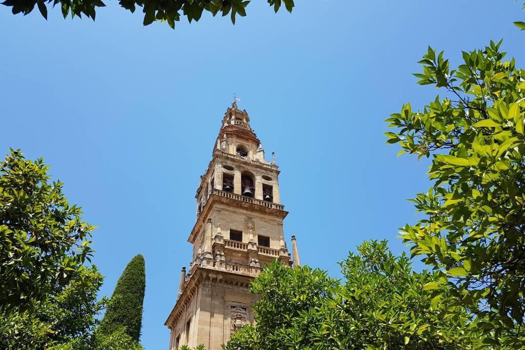Apartamento San Pedro-Corredera Córdoba Eksteriør billede